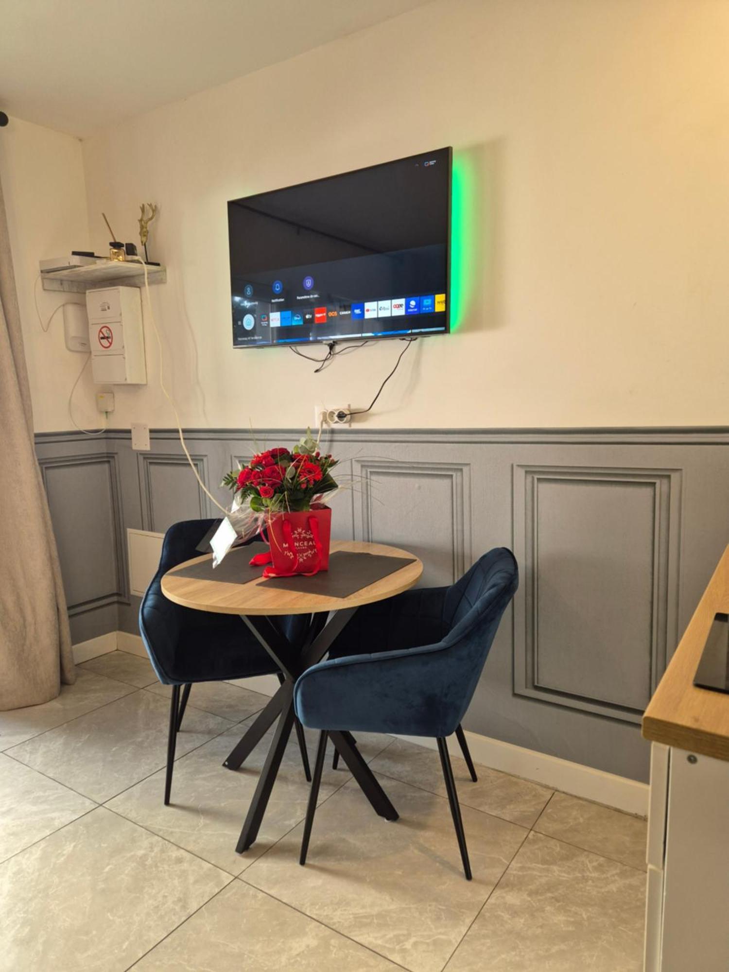 Le Nid Douillet Calme Proche Du Centre Parking Video Projecteur Διαμέρισμα Μπρεστ Εξωτερικό φωτογραφία